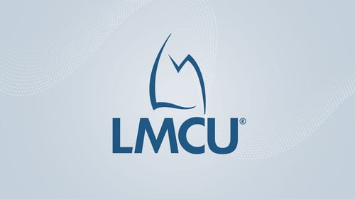 <p>Lake Michigan Credit Union: Emrah Sero</p>