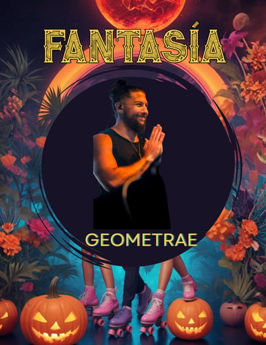 <p>Geometrae</p>