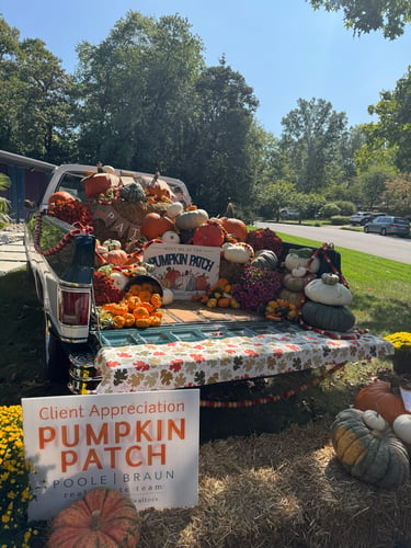 <p>Pumpkins!</p>