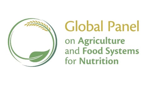 Global Panel on Agriculture and Food Systems for Nutrition