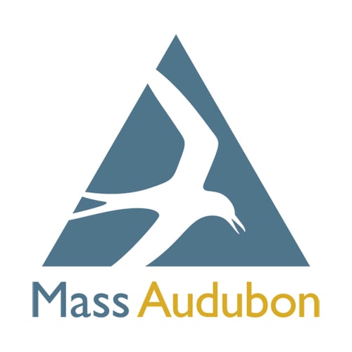 Mass Audubom