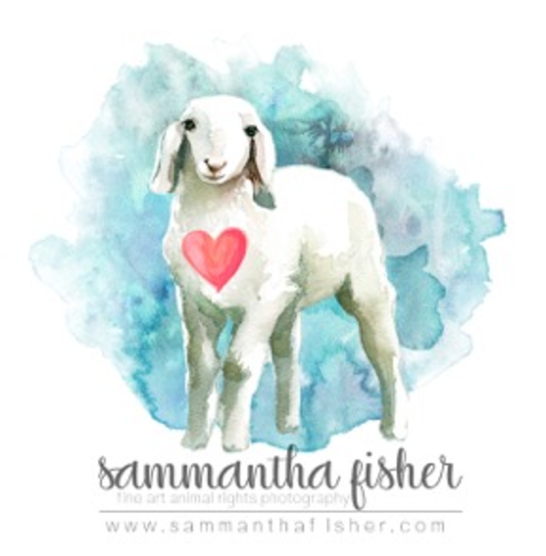 Sammantha Fisher